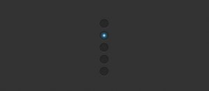 css3-shine-radiobox