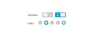 css3-styled-checkbox-radiobox