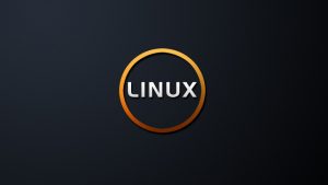 linux